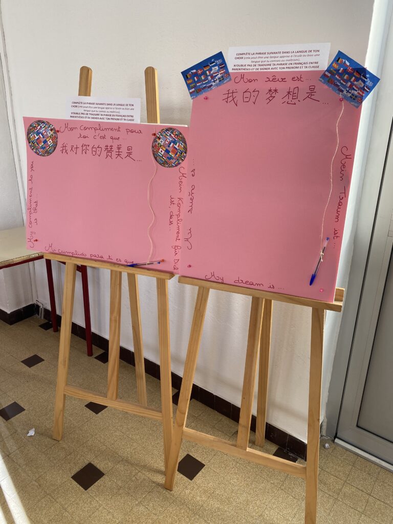 IMG_6877