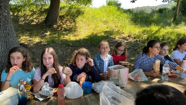 image11